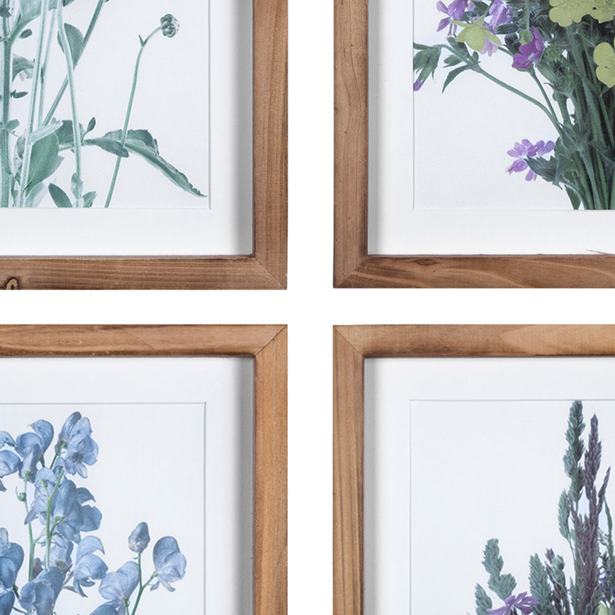 Floral Print Wooden Frame Wall Art - Set of 4 - Rae and Tae 